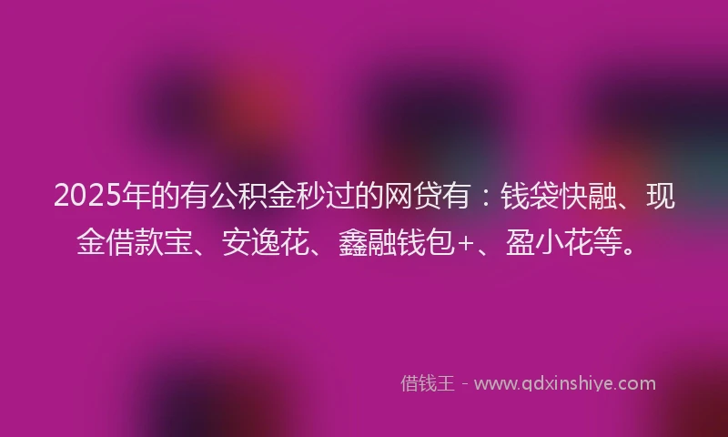 2025年的有公积金秒过的网贷有：钱袋快融、现金借款宝、安逸花、鑫融钱包+、盈小花等。