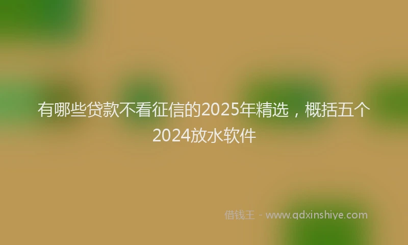 有哪些贷款不看征信的2025年精选，概括五个2024放水软件