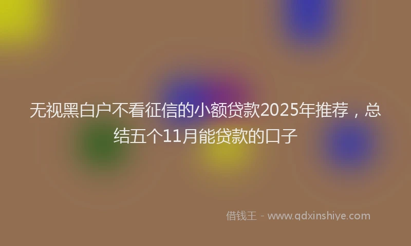 无视黑白户不看征信的小额贷款2025年推荐，总结五个11月能贷款的口子