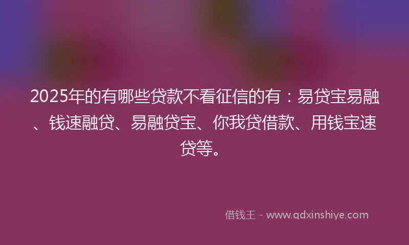 2025年的有哪些贷款不看征信的有：易贷宝易融、钱速融贷、易融贷宝、你我贷借款、用钱宝速贷等。