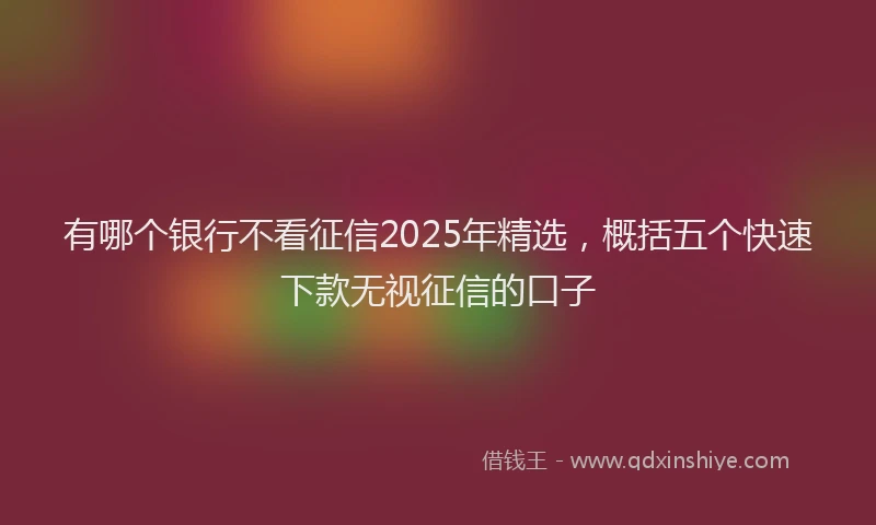 有哪个银行不看征信2025年精选，概括五个快速下款无视征信的口子