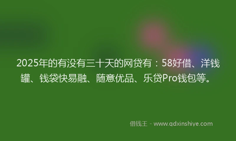 2025年的有没有三十天的网贷有：58好借、洋钱罐、钱袋快易融、随意优品、乐贷Pro钱包等。