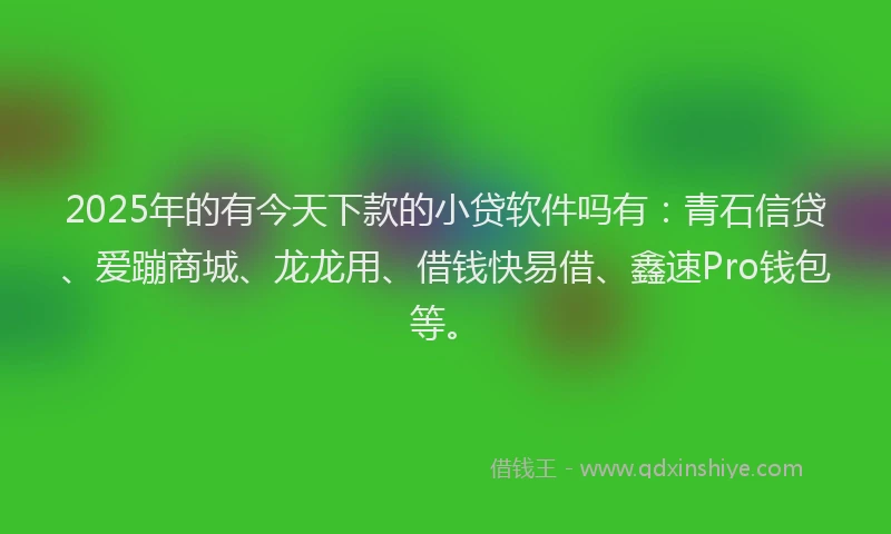 2025年的有今天下款的小贷软件吗有：青石信贷、爱蹦商城、龙龙用、借钱快易借、鑫速Pro钱包等。
