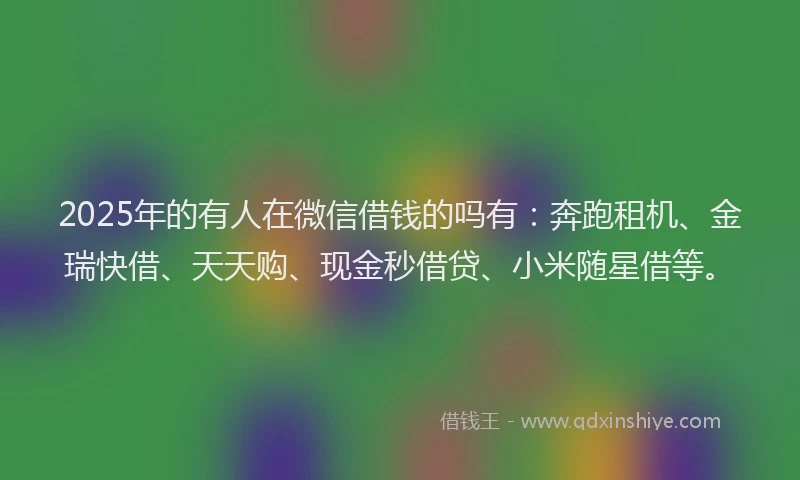 2025年的有人在微信借钱的吗有：奔跑租机、金瑞快借、天天购、现金秒借贷、小米随星借等。