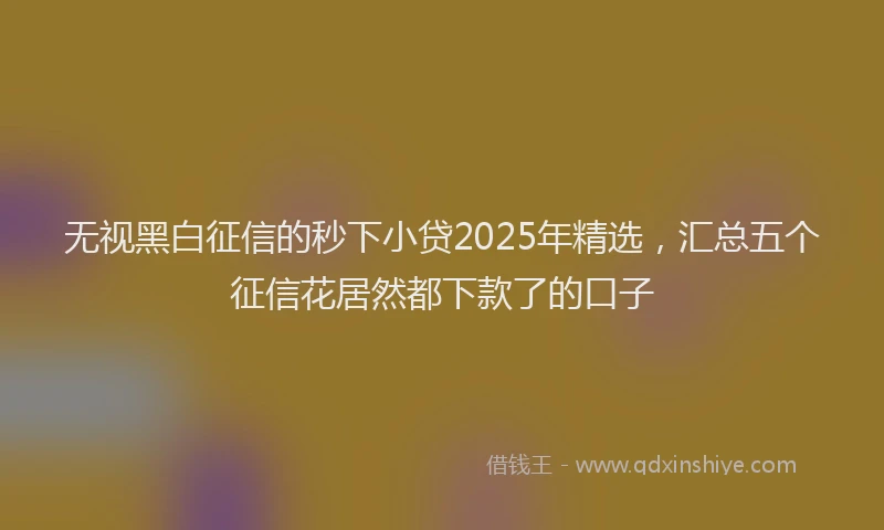 无视黑白征信的秒下小贷2025年精选，汇总五个征信花居然都下款了的口子