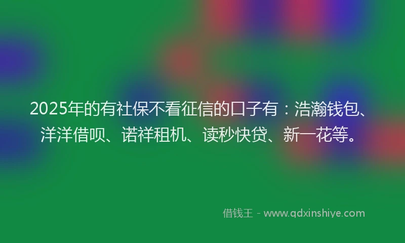 2025年的有社保不看征信的口子有：浩瀚钱包、洋洋借呗、诺祥租机、读秒快贷、新一花等。