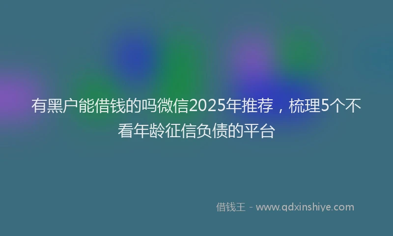 有黑户能借钱的吗微信2025年推荐，梳理5个不看年龄征信负债的平台