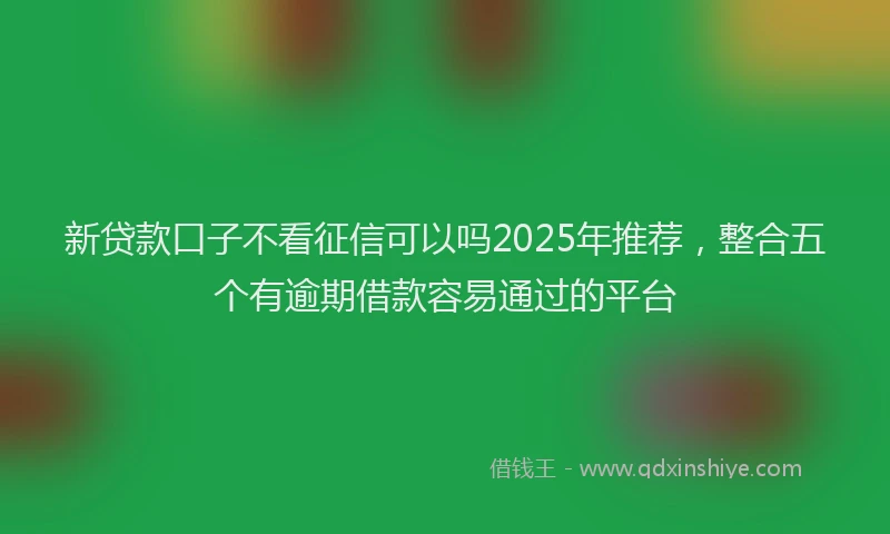 新贷款口子不看征信可以吗2025年推荐，整合五个有逾期借款容易通过的平台