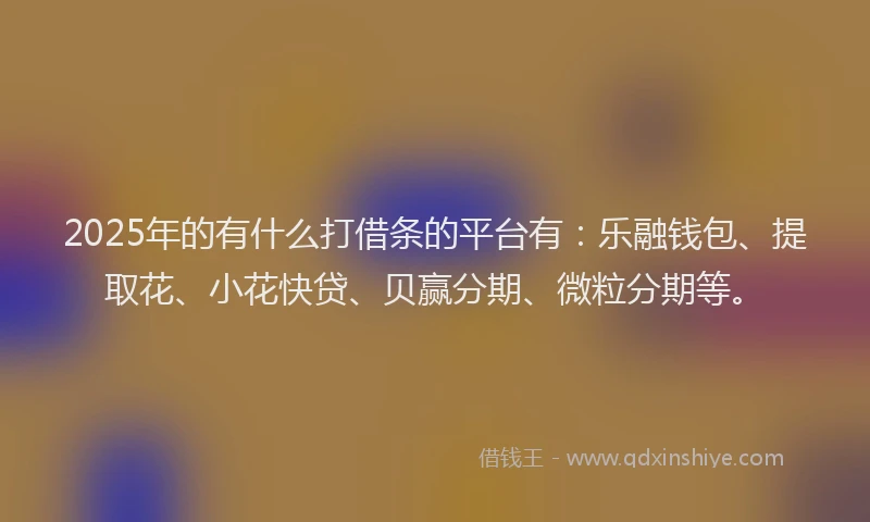 2025年的有什么打借条的平台有：乐融钱包、提取花、小花快贷、贝赢分期、微粒分期等。