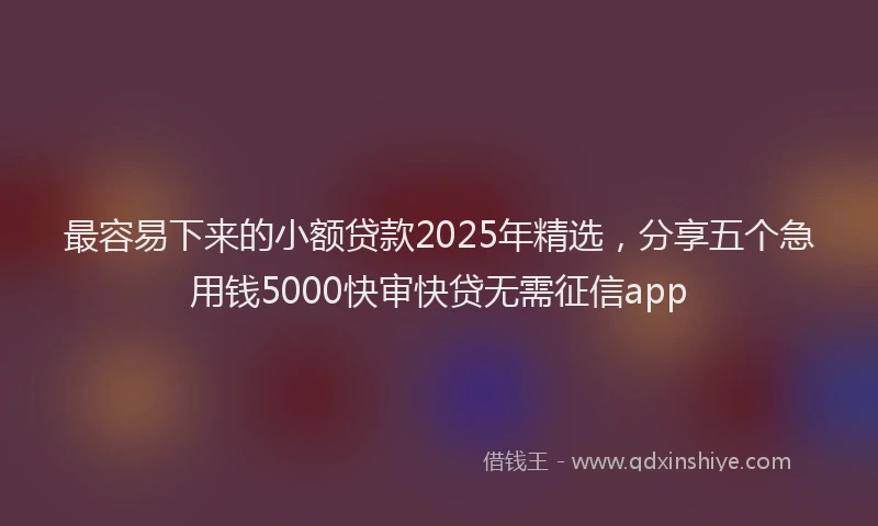 最容易下来的小额贷款2025年精选，分享五个急用钱5000快审快贷无需征信app