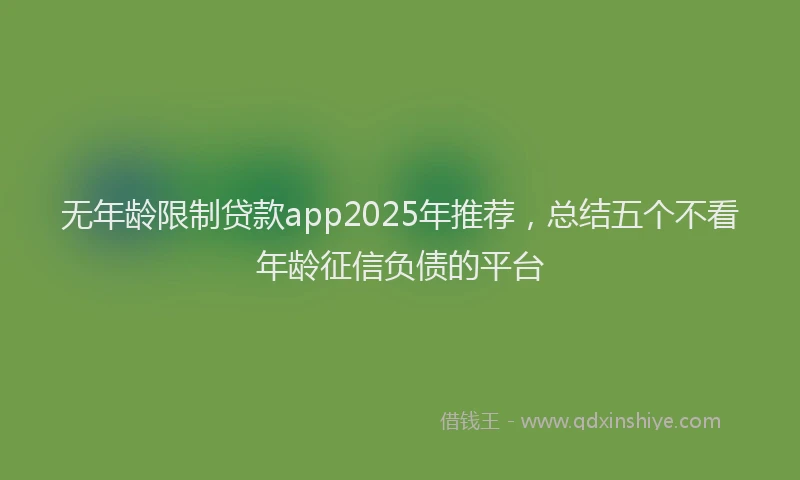 无年龄限制贷款app2025年推荐，总结五个不看年龄征信负债的平台
