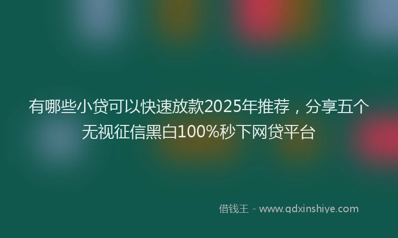 有哪些小贷可以快速放款2025年推荐，分享五个无视征信黑白100%秒下网贷平台