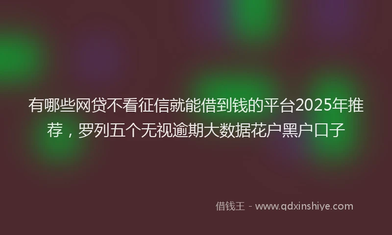 有哪些网贷不看征信就能借到钱的平台2025年推荐，罗列五个无视逾期大数据花户黑户口子