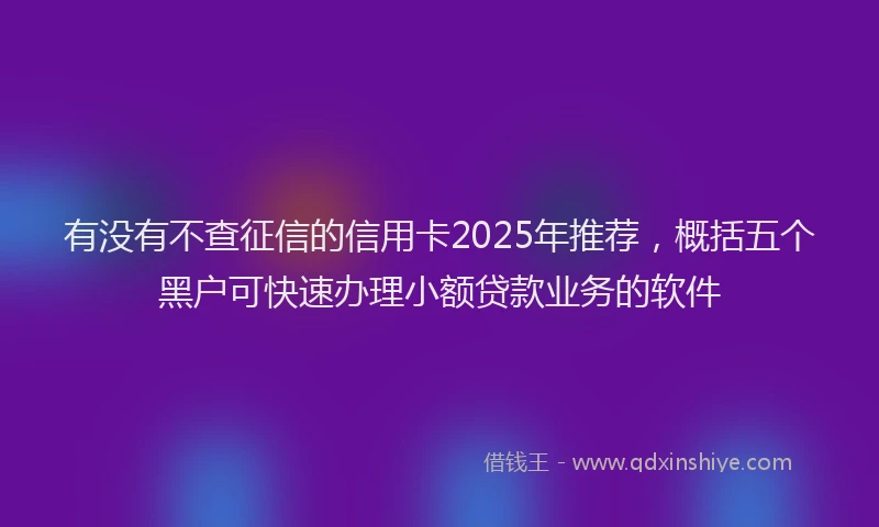 有没有不查征信的信用卡2025年推荐，概括五个黑户可快速办理小额贷款业务的软件