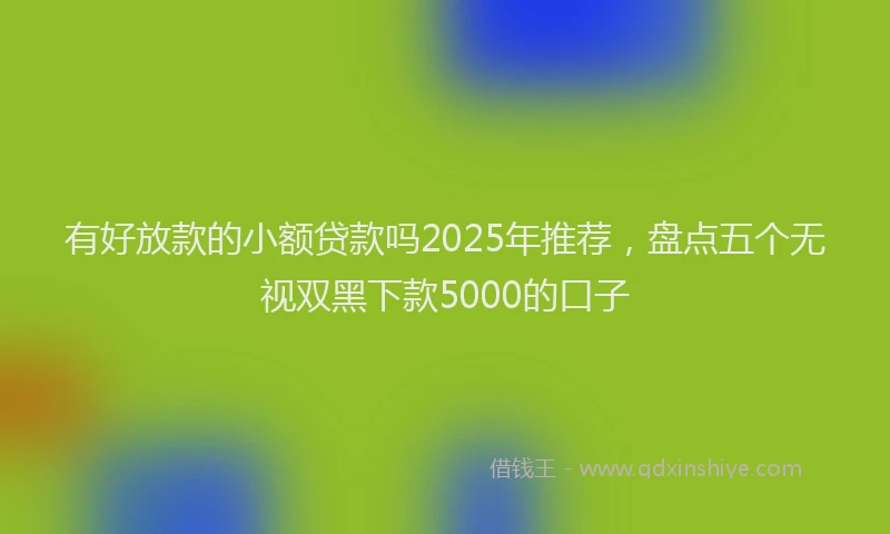 有好放款的小额贷款吗2025年推荐，盘点五个无视双黑下款5000的口子