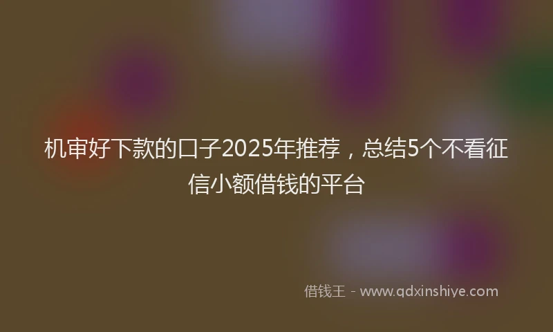 机审好下款的口子2025年推荐，总结5个不看征信小额借钱的平台
