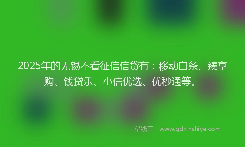 2025年的无锡不看征信信贷有：移动白条、臻享购、钱贷乐、小信优选、优秒通等。