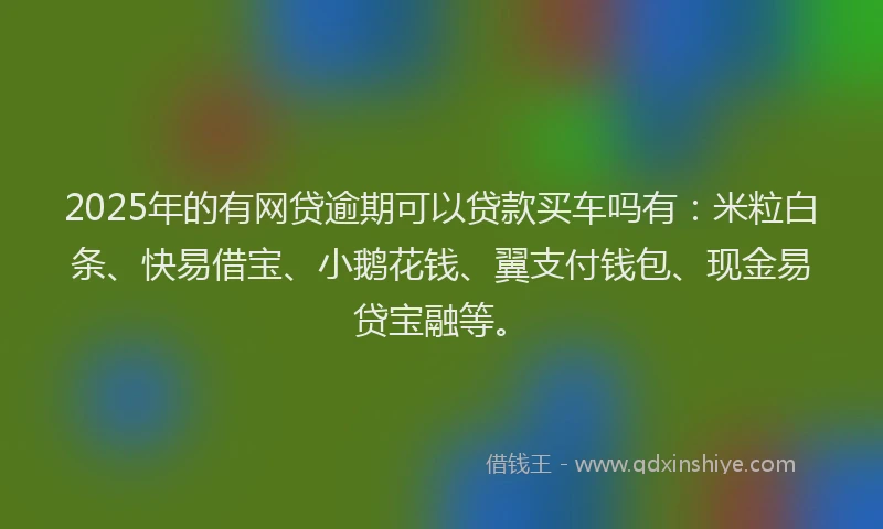 2025年的有网贷逾期可以贷款买车吗有：米粒白条、快易借宝、小鹅花钱、翼支付钱包、现金易贷宝融等。