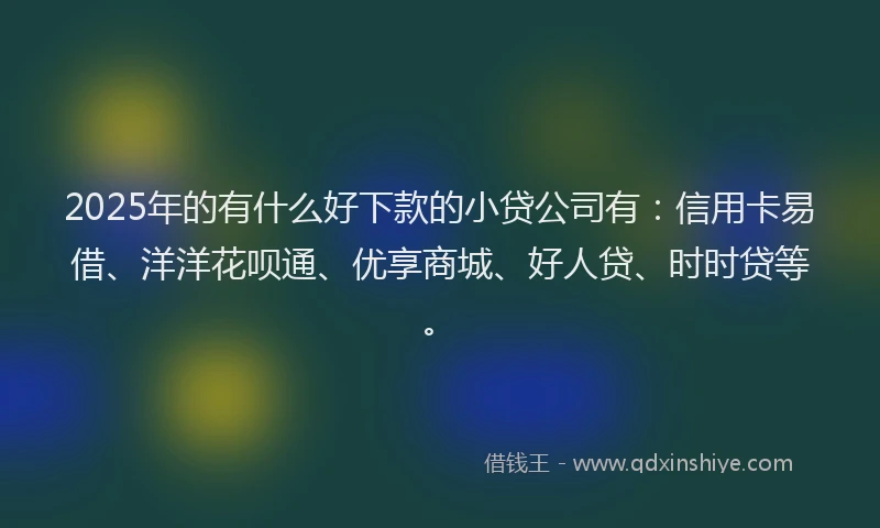 2025年的有什么好下款的小贷公司有：信用卡易借、洋洋花呗通、优享商城、好人贷、时时贷等。
