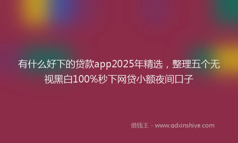 有什么好下的贷款app2025年精选，整理五个无视黑白100%秒下网贷小额夜间口子