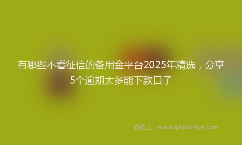 有哪些不看征信的备用金平台2025年精选，分享5个逾期太多能下款口子