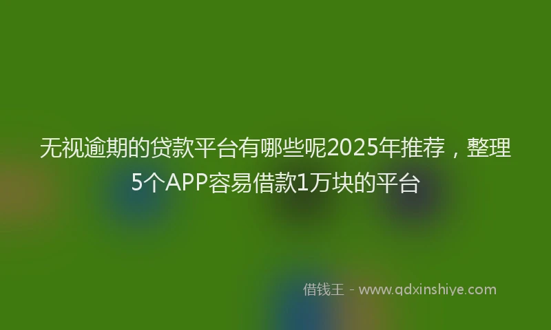 无视逾期的贷款平台有哪些呢2025年推荐，整理5个APP容易借款1万块的平台