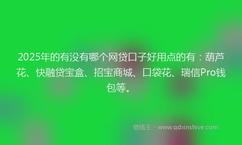 2025年的有没有哪个网贷口子好用点的有：葫芦花、快融贷宝盒、招宝商城、口袋花、瑞信Pro钱包等。