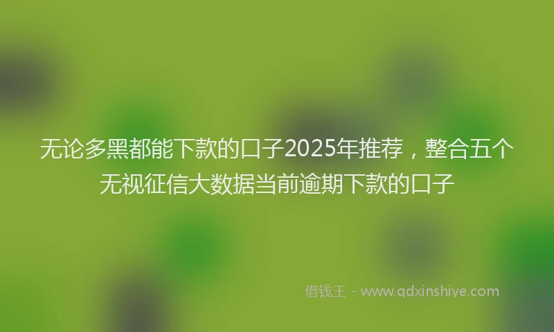 无论多黑都能下款的口子2025年推荐，整合五个无视征信大数据当前逾期下款的口子