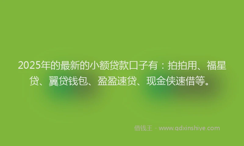 2025年的最新的小额贷款口子有：拍拍用、福星贷、翼贷钱包、盈盈速贷、现金侠速借等。