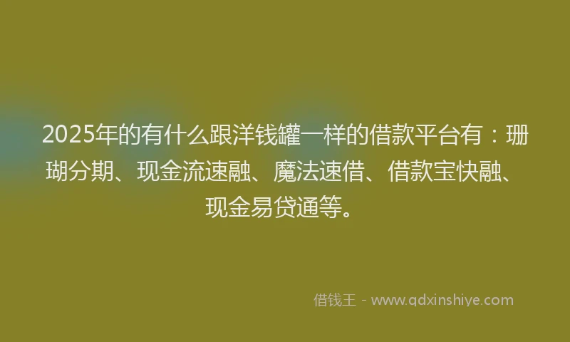 2025年的有什么跟洋钱罐一样的借款平台有：珊瑚分期、现金流速融、魔法速借、借款宝快融、现金易贷通等。