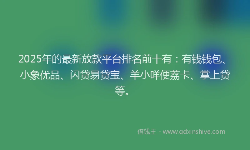 2025年的最新放款平台排名前十有：有钱钱包、小象优品、闪贷易贷宝、羊小咩便荔卡、掌上贷等。