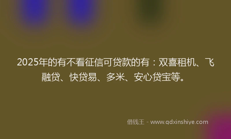 2025年的有不看征信可贷款的有：双喜租机、飞融贷、快贷易、多米、安心贷宝等。