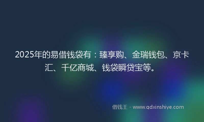 2025年的易借钱袋有：臻享购、金瑞钱包、京卡汇、千亿商城、钱袋瞬贷宝等。