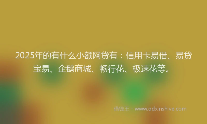 2025年的有什么小额网贷有：信用卡易借、易贷宝易、企鹅商城、畅行花、极速花等。