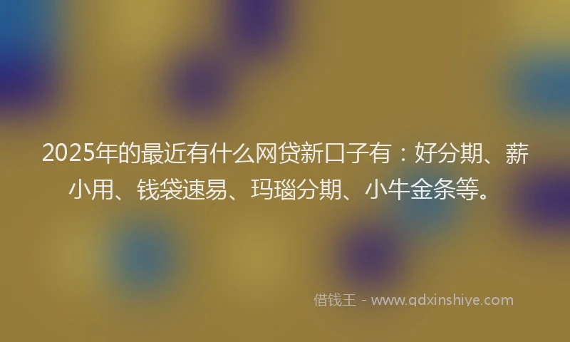 2025年的最近有什么网贷新口子有：好分期、薪小用、钱袋速易、玛瑙分期、小牛金条等。