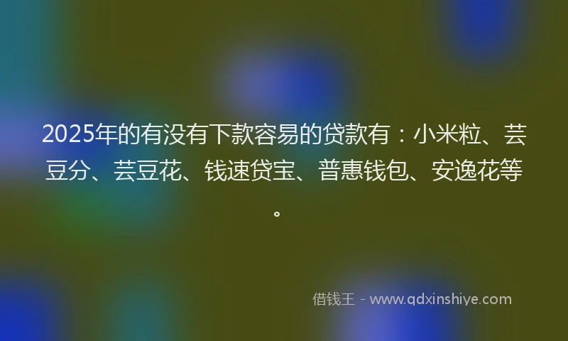 2025年的有没有下款容易的贷款有：小米粒、芸豆分、芸豆花、钱速贷宝、普惠钱包、安逸花等。