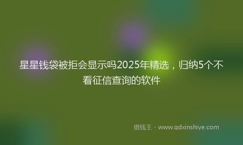 星星钱袋被拒会显示吗2025年精选，归纳5个不看征信查询的软件