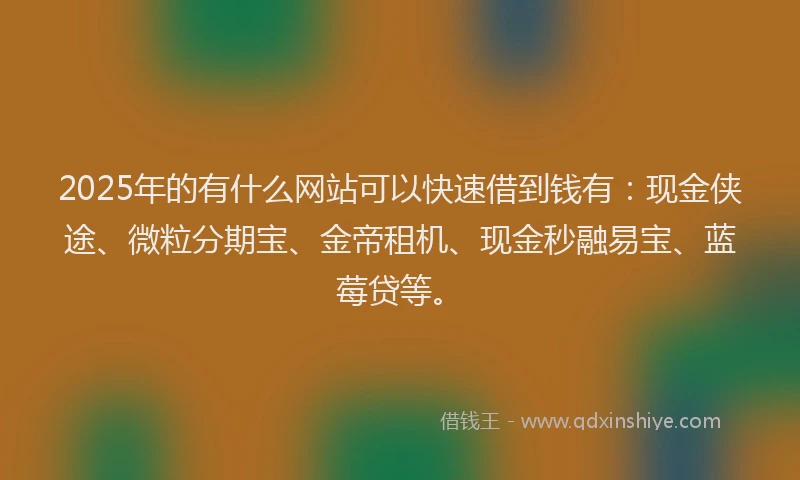 2025年的有什么网站可以快速借到钱有：现金侠途、微粒分期宝、金帝租机、现金秒融易宝、蓝莓贷等。