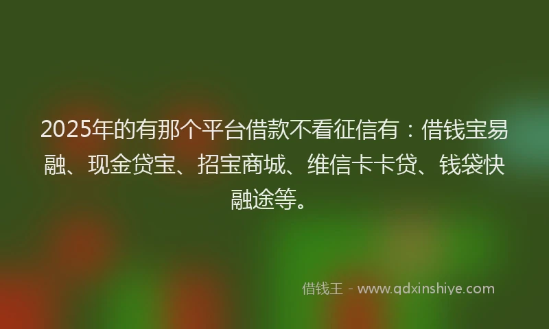 2025年的有那个平台借款不看征信有：借钱宝易融、现金贷宝、招宝商城、维信卡卡贷、钱袋快融途等。