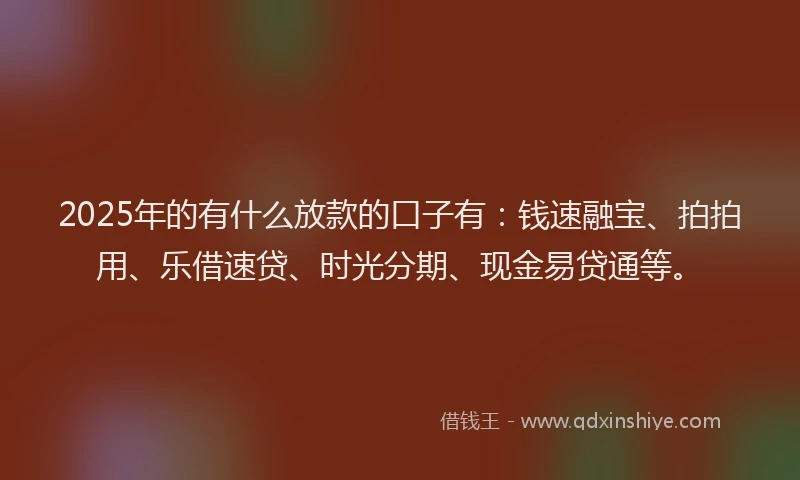 2025年的有什么放款的口子有：钱速融宝、拍拍用、乐借速贷、时光分期、现金易贷通等。