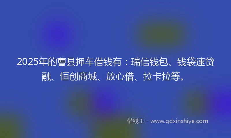 2025年的曹县押车借钱有：瑞信钱包、钱袋速贷融、恒创商城、放心借、拉卡拉等。