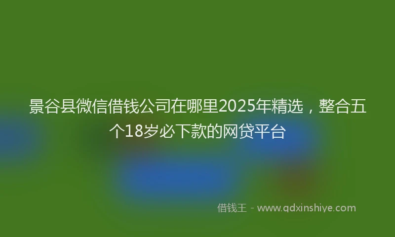景谷县微信借钱公司在哪里2025年精选，整合五个18岁必下款的网贷平台