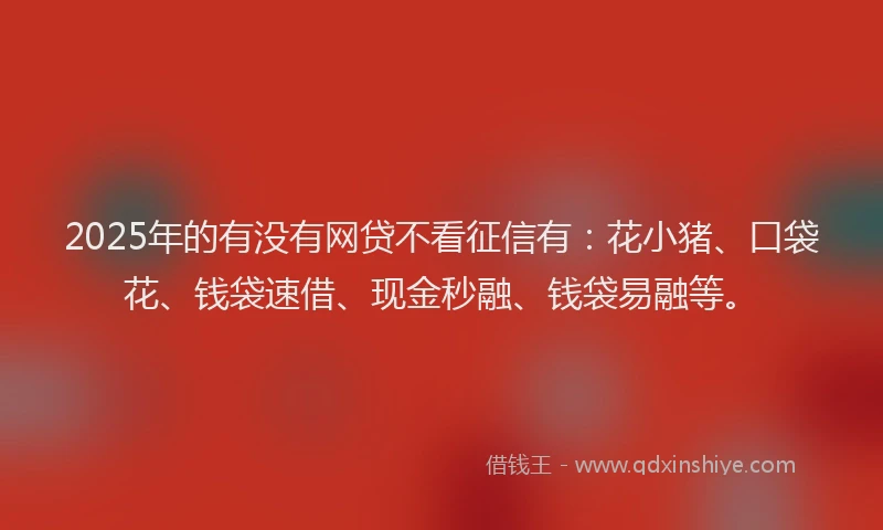 2025年的有没有网贷不看征信有：花小猪、口袋花、钱袋速借、现金秒融、钱袋易融等。