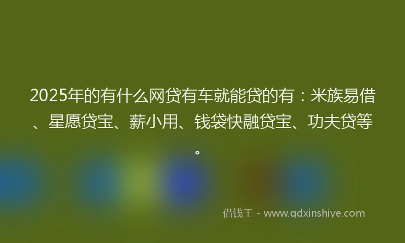 2025年的有什么网贷有车就能贷的有：米族易借、星愿贷宝、薪小用、钱袋快融贷宝、功夫贷等。