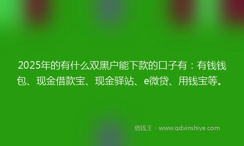 2025年的有什么双黑户能下款的口子有：有钱钱包、现金借款宝、现金驿站、e微贷、用钱宝等。