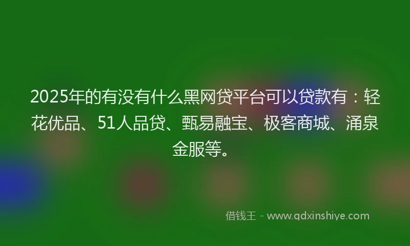 2025年的有没有什么黑网贷平台可以贷款有：轻花优品、51人品贷、甄易融宝、极客商城、涌泉金服等。