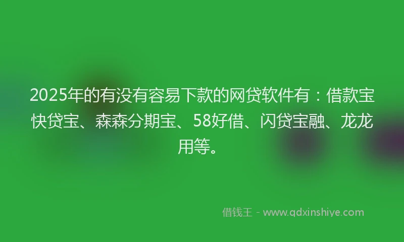 2025年的有没有容易下款的网贷软件有：借款宝快贷宝、森森分期宝、58好借、闪贷宝融、龙龙用等。
