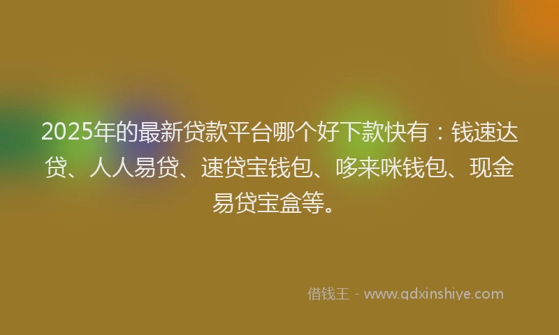 2025年的最新贷款平台哪个好下款快有：钱速达贷、人人易贷、速贷宝钱包、哆来咪钱包、现金易贷宝盒等。