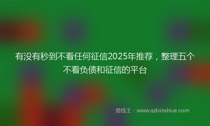 有没有秒到不看任何征信2025年推荐，整理五个不看负债和征信的平台