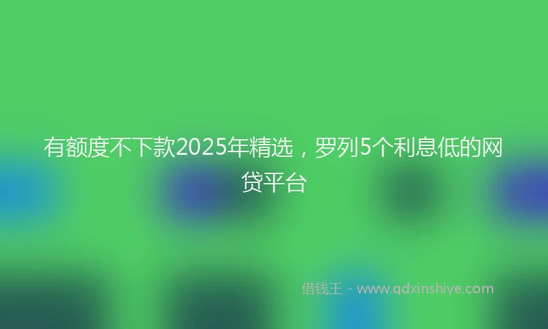 有额度不下款2025年精选，罗列5个利息低的网贷平台